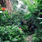 カフェぽぷり - 