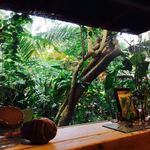 カフェぽぷり - 