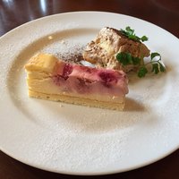 フィーコディンディア - 