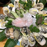 ちどり館 - 