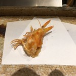 日本橋 蕎ノ字 - 