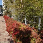 レストラン ヒロミチ - 