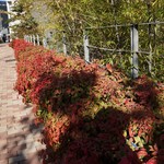 レストラン ヒロミチ - 