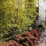 レストラン ヒロミチ - 