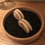 LIAISON - ホタテ貝チュイル