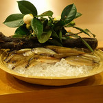 旬席 鈴江 - 琵琶湖の子持ちモロコ