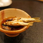 旬席 鈴江 - 琵琶湖の子持ちモロコ