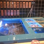 生け簀の甲羅 - 店内の生け簀