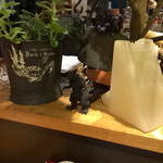 久遠の空 - カウンター上