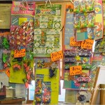 パイナップル - レジ前に飾って売られてる