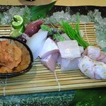 うを政 - ２０１１．４後