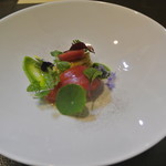 アキヒサ ハンダ - 対馬産天然本マグロ　コラトゥーラヴィネグレット　音更産ブロッコリーのピュレ