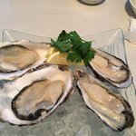 NERIMA OYSTER BAR - 