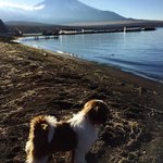 湖麺屋 リールカフェ - 愛犬と富士山