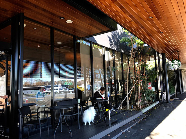 スターバックスコーヒー 友部サービスエリア 下り線 笠間市その他 カフェ 食べログ スターバックスコーヒー 友部サービスエリア 下り線 笠間市その他 カフェ 食べログ