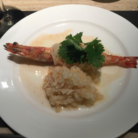 ミモザ - 