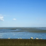 奴寿司 - ［2017/11］有明海(島原湾)を横目にバスは進みます。