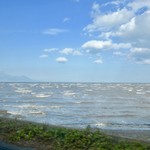 奴寿司 - ［2017/11］最初は泥のせいか茶色の海ですが…