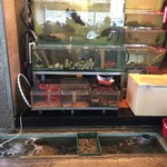 泰苑魚翅海鮮酒家 - 