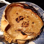 浜屋 - ブレイン