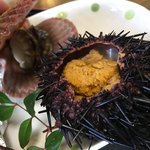 丸魚食堂 - アッパ貝、焼きウニ