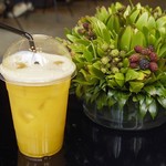 Nicolai Bergmann NOMU - 