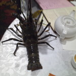 太湖海鮮城 - 豪州産活けイセエビ（調理前）