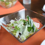 Gastrogy HAKU TAKU - サラダ