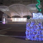 萬み高橋 - ビルの向かいの公園のイルミネーション。