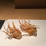 カブ - 才巻海老足