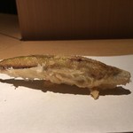 カブ - わかさぎ