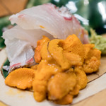 うを徳 - 2017.12 お造り（明石の鯛の松皮造り、函館バフンウニ）