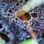 ひびき庵 - ”鴨蒸籠（かもせいらう）”、鴨汁（かもじる）、油滴（あぶらのしづく）前暈（まへぼけ）="Soap bubble bokeh"