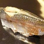 寿しの吉乃 - いわし