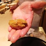 寿しの吉乃 - うに