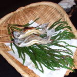 岩魚郷 北条屋敷 - 