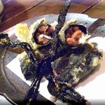 典ノ庭 - 納豆磯辺天