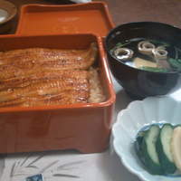 割烹 蒲焼 大沼 - 