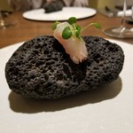 ル スプートニク - 