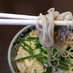 清見そば本店 - ねぎ南とじ