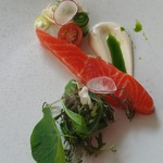 アクアヴィット - 