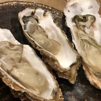 稲水器 あまてらす - 生牡蠣三種