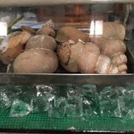 のんちゃん - 北陸はつぶ貝もデカい