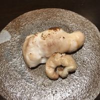 大阪とらふぐの会 PREMIUM - 