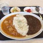J&T AIGAKE CURRY  - タイチキンマッサマンカレー、ポークカレー