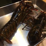 うを徳 - パエリアの材料のオマール海老