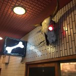 一条流がんこ総本家分家四谷荒木町 - 外観