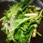 KASHIWA YA - パクチーサラダ