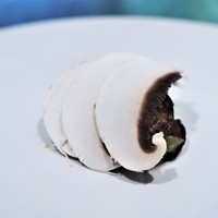 イチリン ハナレ - 三陸産牡蠣　銀杏　マッシュルーム