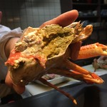 う越貞 - 間人の蟹（1.6kg）